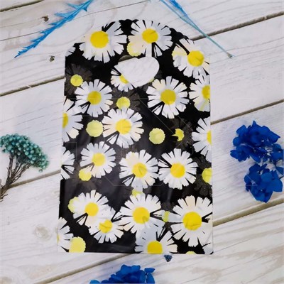 Пакет "Ромашки" 13х21 (кратно 50) PR215-13x21:BI - фото 9348