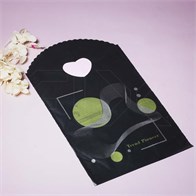 Пакет "Trend Pioneer" 13х21 (кратно 50) PR170-13x21:PP