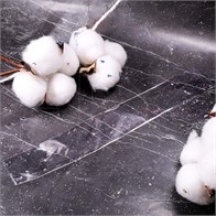 OPP-пакет с клейкой лентой 3х17см (кратно 200) PE350-3x17:BT