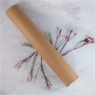 Тубус картонный, с металлической крышкой, 46х300 мм TB002-46x300:FJ