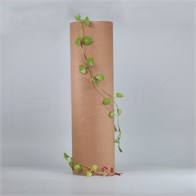 Тубус картонный, с пластиковой крышкой, 83х300 мм TB001-83x300:FJ