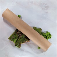 Тубус картонный, с пластиковой крышкой, 50х300 мм TB001-50x300:FJ