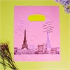 Пакет "Эйфелева башня на розовом фоне" 20х25 (кратно 100) PR605-20x25:BI